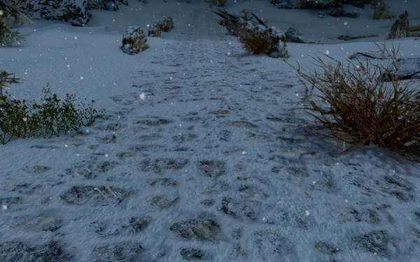 Quality Snow HD 4K